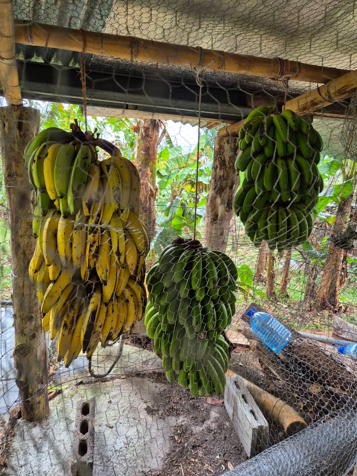 Foto de Senderos Amados 4
